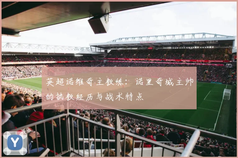 英超诺维奇主教练：诺里奇城主帅的执教经历与战术特点