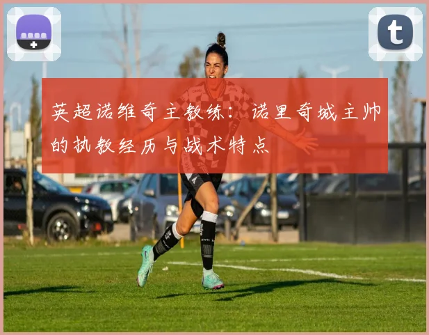 英超诺维奇主教练：诺里奇城主帅的执教经历与战术特点